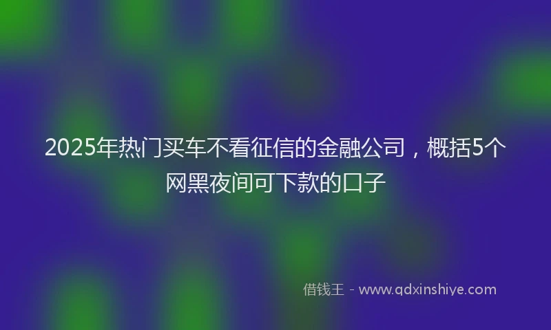 2025年热门买车不看征信的金融公司，概括5个网黑夜间可下款的口子
