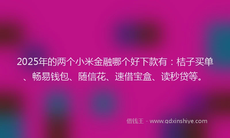 2025年的两个小米金融哪个好下款有：桔子买单、畅易钱包、随信花、速借宝盒、读秒贷等。