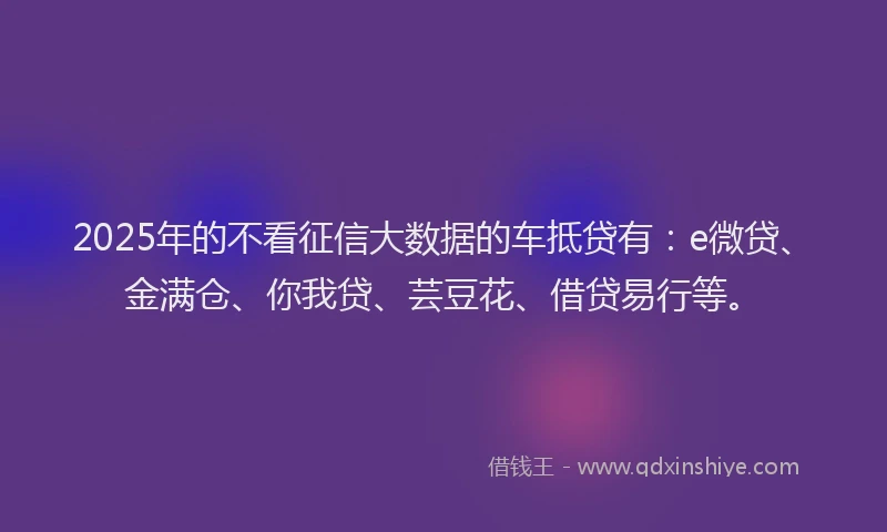 2025年的不看征信大数据的车抵贷有：e微贷、金满仓、你我贷、芸豆花、借贷易行等。