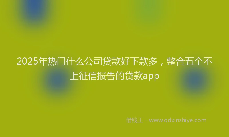 2025年热门什么公司贷款好下款多，整合五个不上征信报告的贷款app