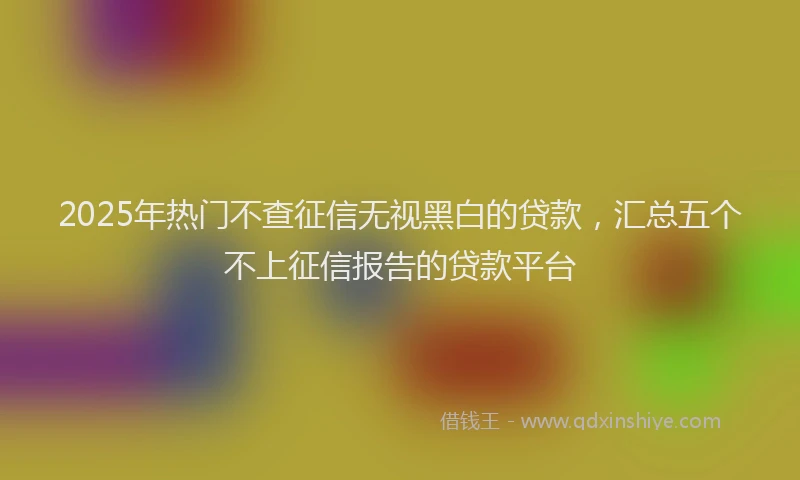 2025年热门不查征信无视黑白的贷款，汇总五个不上征信报告的贷款平台