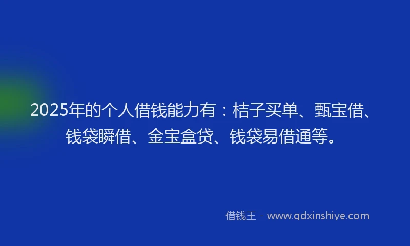 2025年的个人借钱能力有：桔子买单、甄宝借、钱袋瞬借、金宝盒贷、钱袋易借通等。