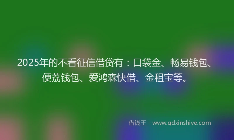 2025年的不看征信借贷有：口袋金、畅易钱包、便荔钱包、爱鸿森快借、金租宝等。