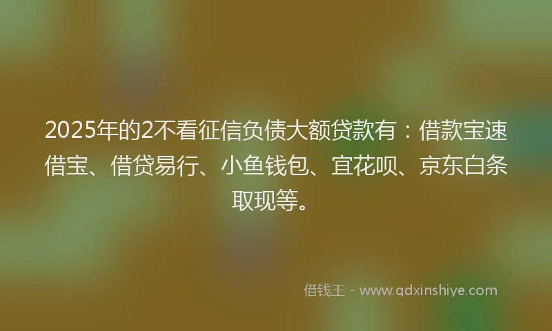 2025年的2不看征信负债大额贷款有：借款宝速借宝、借贷易行、小鱼钱包、宜花呗、京东白条取现等。