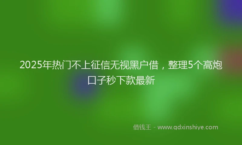 2025年热门不上征信无视黑户借，整理5个高炮口子秒下款最新