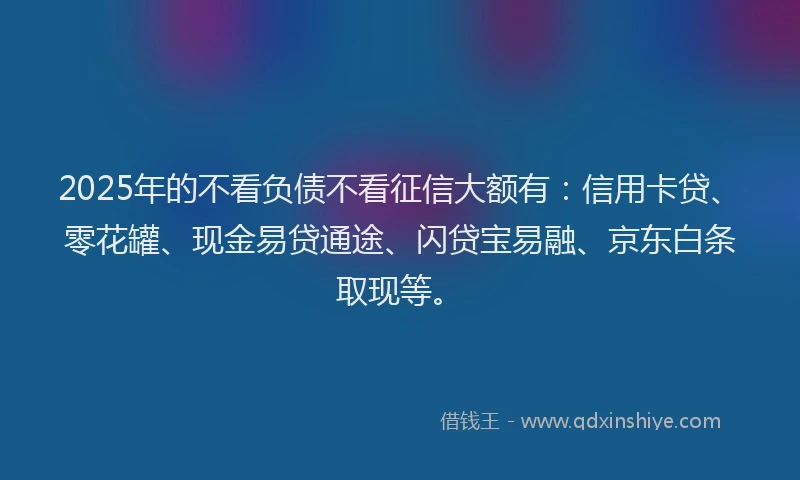 2025年的不看负债不看征信大额有：信用卡贷、零花罐、现金易贷通途、闪贷宝易融、京东白条取现等。