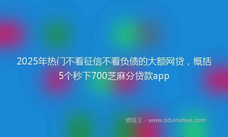 2025年热门不看征信不看负债的大额网贷，概括5个秒下700芝麻分贷款app