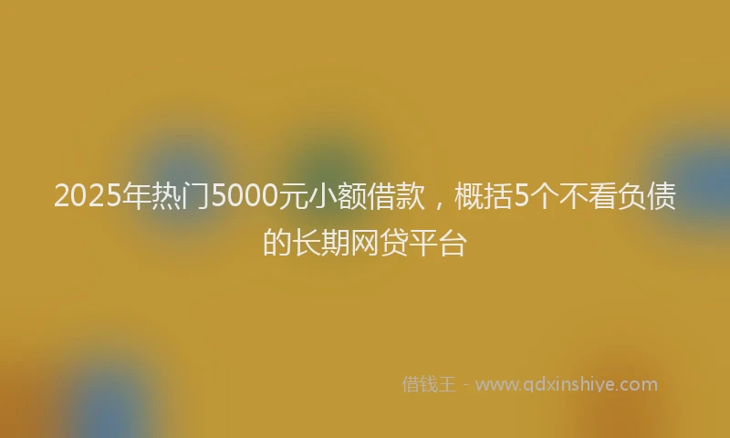 2025年热门5000元小额借款，概括5个不看负债的长期网贷平台
