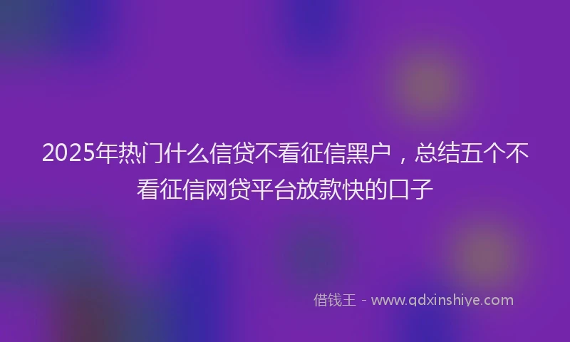 2025年热门什么信贷不看征信黑户，总结五个不看征信网贷平台放款快的口子