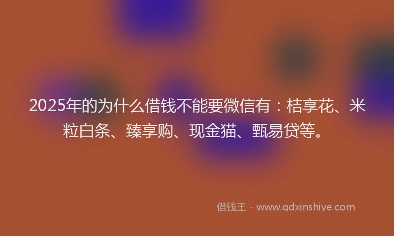 2025年的为什么借钱不能要微信有：桔享花、米粒白条、臻享购、现金猫、甄易贷等。