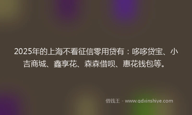 2025年的上海不看征信零用贷有：哆哆贷宝、小吉商城、鑫享花、森森借呗、惠花钱包等。