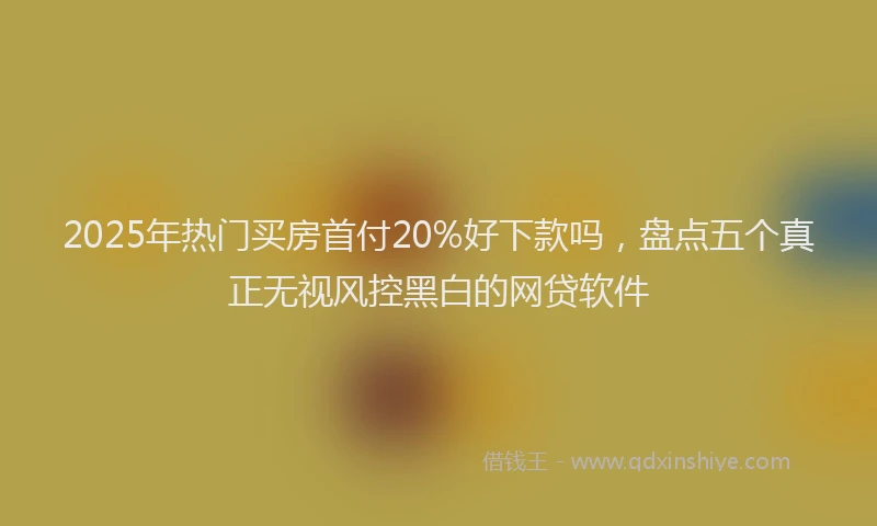 2025年热门买房首付20%好下款吗，盘点五个真正无视风控黑白的网贷软件