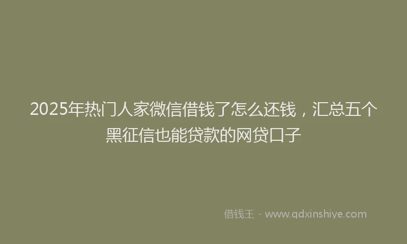 2025年热门人家微信借钱了怎么还钱，汇总五个黑征信也能贷款的网贷口子