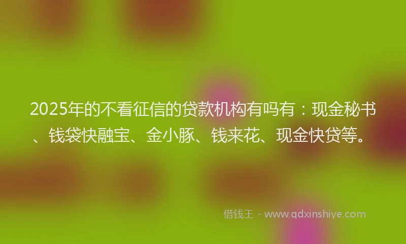 2025年的不看征信的贷款机构有吗有：现金秘书、钱袋快融宝、金小豚、钱来花、现金快贷等。