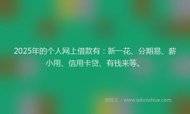 2025年的个人网上借款有：新一花、分期易、薪小用、信用卡贷、有钱来等。