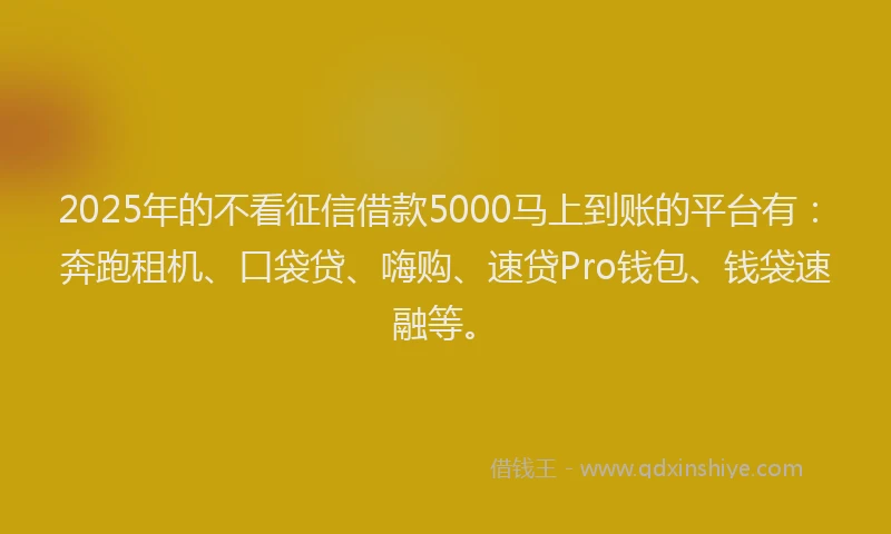 2025年的不看征信借款5000马上到账的平台有：奔跑租机、口袋贷、嗨购、速贷Pro钱包、钱袋速融等。