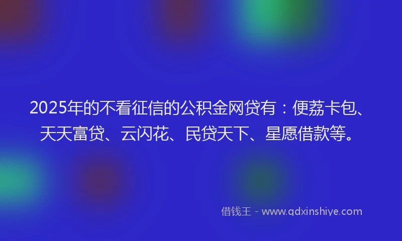 2025年的不看征信的公积金网贷有：便荔卡包、天天富贷、云闪花、民贷天下、星愿借款等。