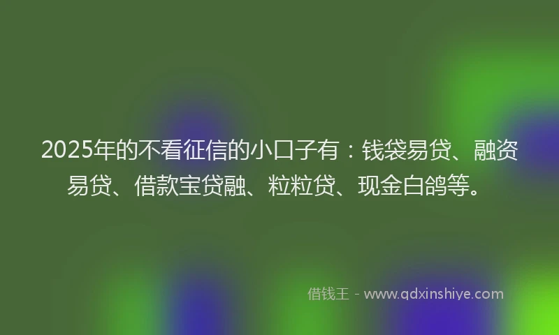 2025年的不看征信的小口子有：钱袋易贷、融资易贷、借款宝贷融、粒粒贷、现金白鸽等。