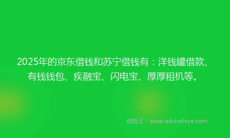2025年的京东借钱和苏宁借钱有：洋钱罐借款、有钱钱包、疾融宝、闪电宝、厚厚租机等。