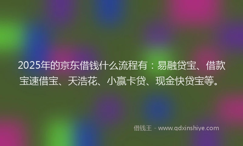 2025年的京东借钱什么流程有：易融贷宝、借款宝速借宝、天浩花、小赢卡贷、现金快贷宝等。