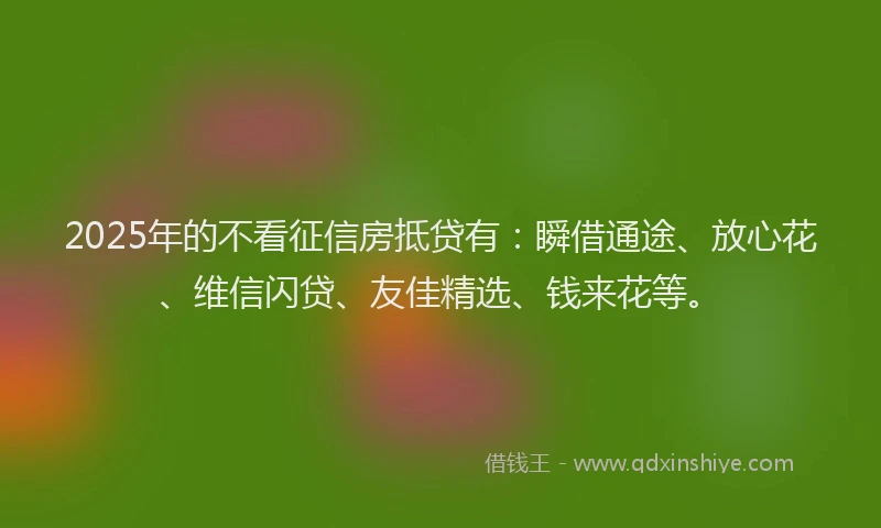 2025年的不看征信房抵贷有：瞬借通途、放心花、维信闪贷、友佳精选、钱来花等。