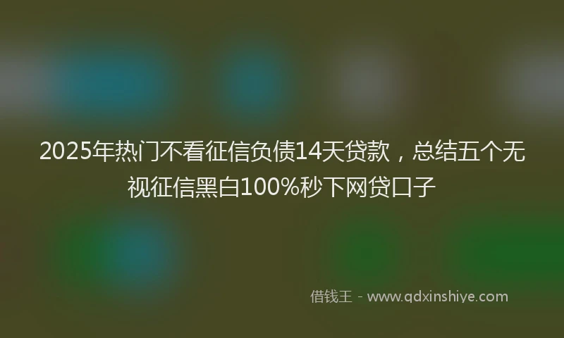 2025年热门不看征信负债14天贷款，总结五个无视征信黑白100%秒下网贷口子