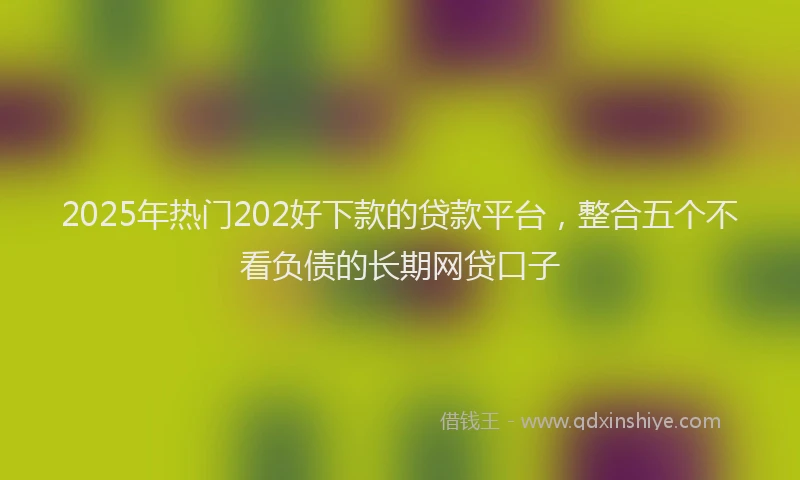 2025年热门202好下款的贷款平台，整合五个不看负债的长期网贷口子