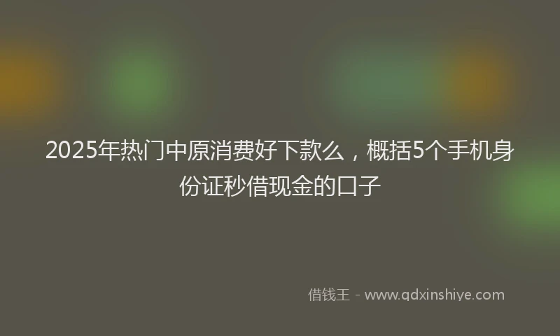 2025年热门中原消费好下款么，概括5个手机身份证秒借现金的口子