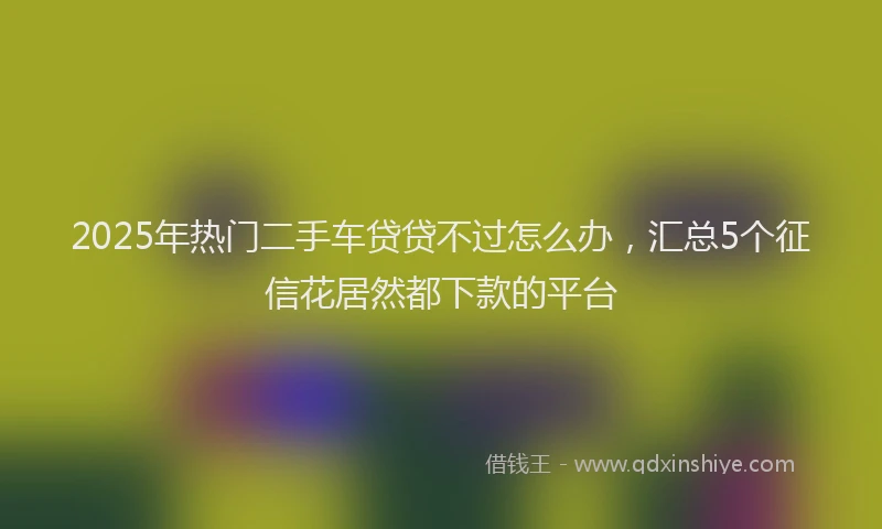 2025年热门二手车贷贷不过怎么办，汇总5个征信花居然都下款的平台