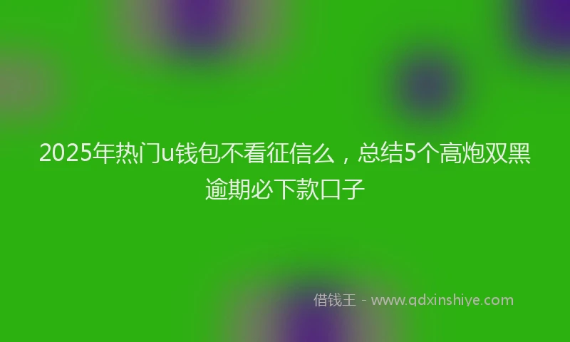 2025年热门u钱包不看征信么，总结5个高炮双黑逾期必下款口子