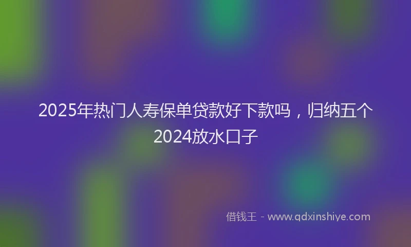 2025年热门人寿保单贷款好下款吗，归纳五个2024放水口子