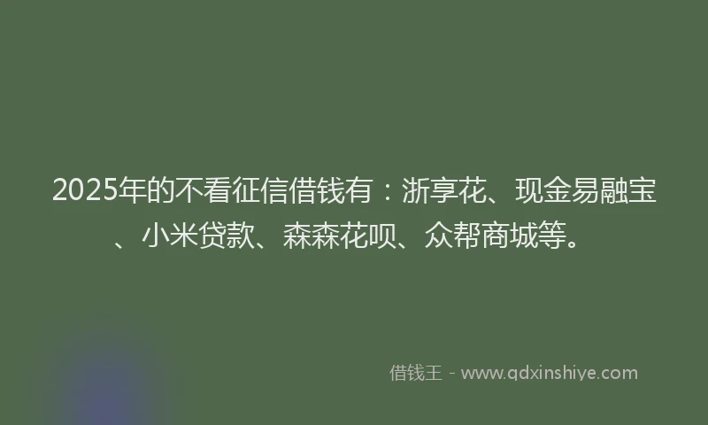 2025年的不看征信借钱有：浙享花、现金易融宝、小米贷款、森森花呗、众帮商城等。