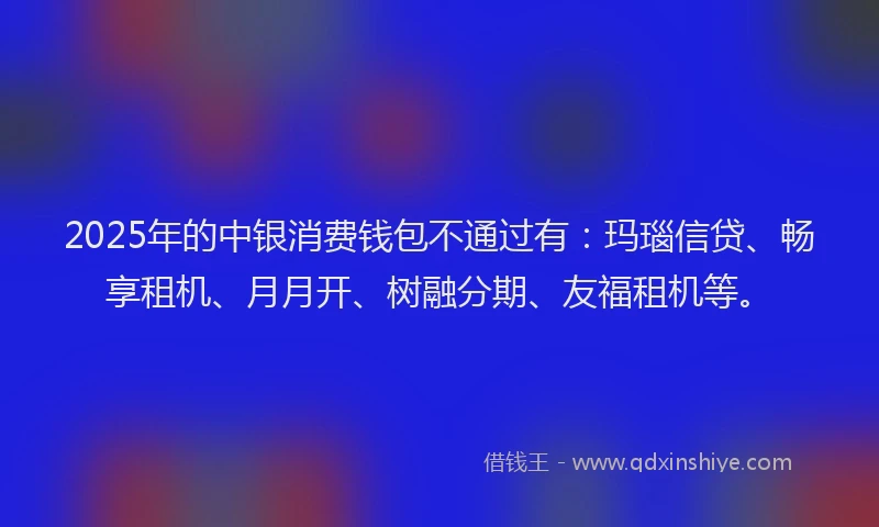 2025年的中银消费钱包不通过有：玛瑙信贷、畅享租机、月月开、树融分期、友福租机等。