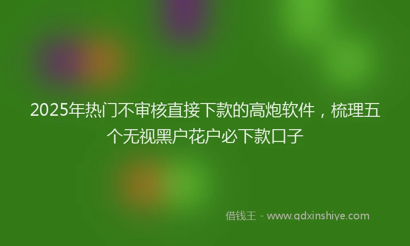 2025年热门不审核直接下款的高炮软件，梳理五个无视黑户花户必下款口子