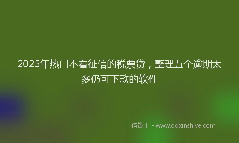 2025年热门不看征信的税票贷，整理五个逾期太多仍可下款的软件