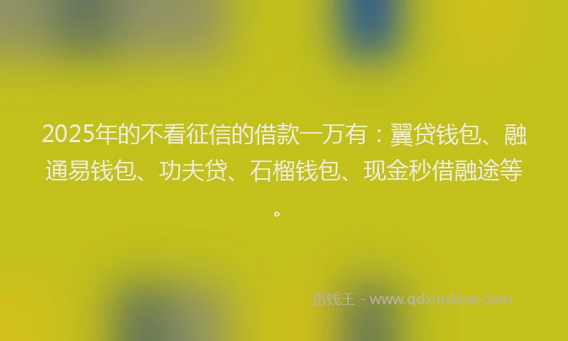 2025年的不看征信的借款一万有：翼贷钱包、融通易钱包、功夫贷、石榴钱包、现金秒借融途等。
