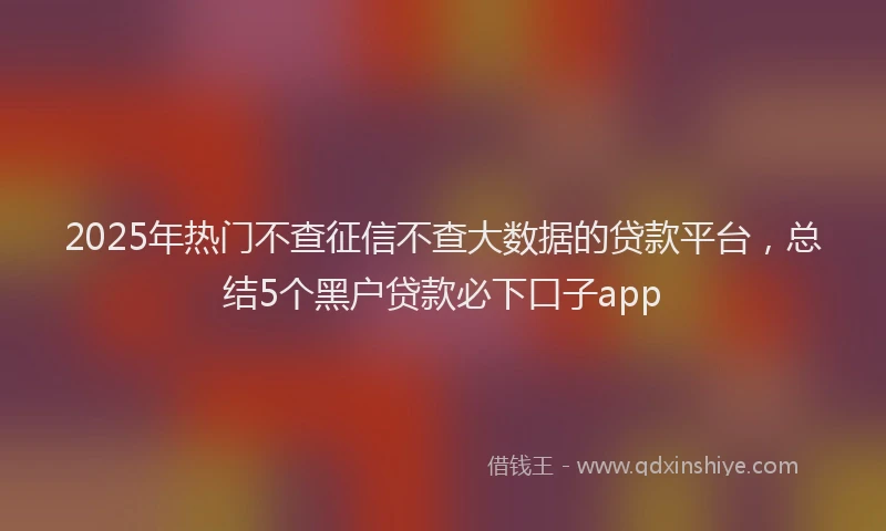 2025年热门不查征信不查大数据的贷款平台，总结5个黑户贷款必下口子app