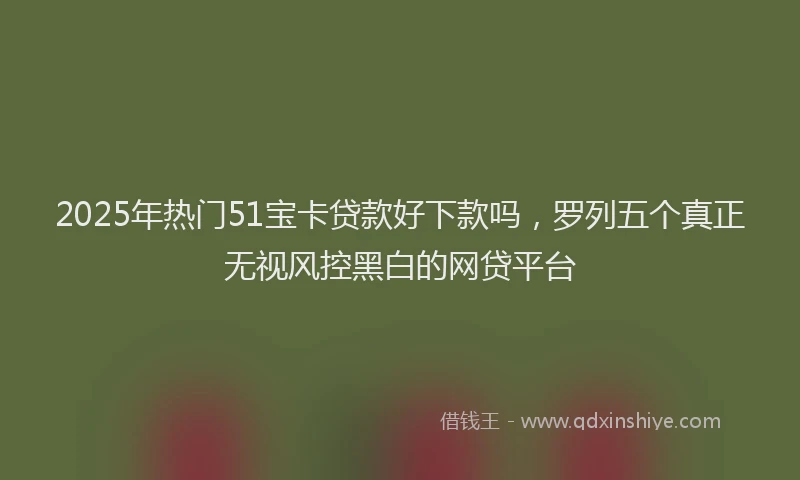 2025年热门51宝卡贷款好下款吗，罗列五个真正无视风控黑白的网贷平台