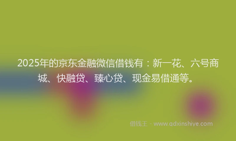 2025年的京东金融微信借钱有：新一花、六号商城、快融贷、臻心贷、现金易借通等。