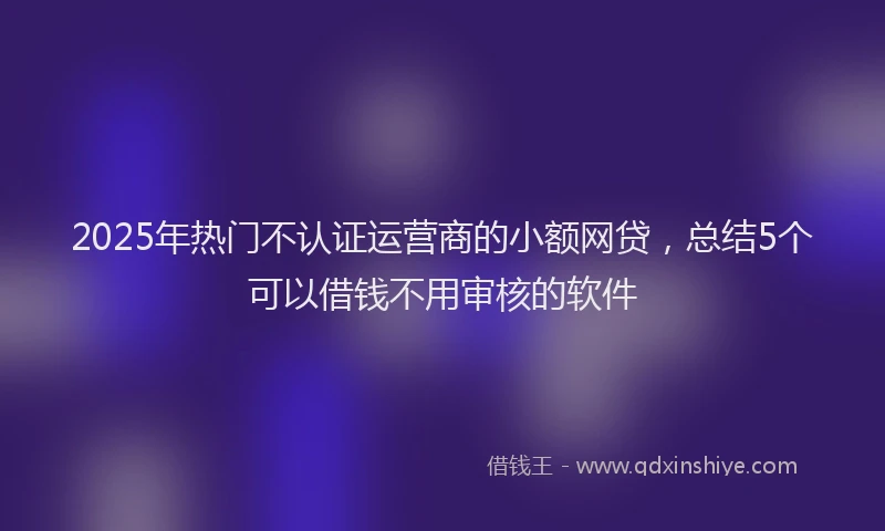 2025年热门不认证运营商的小额网贷，总结5个可以借钱不用审核的软件