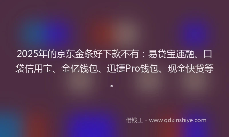 2025年的京东金条好下款不有：易贷宝速融、口袋信用宝、金亿钱包、迅捷Pro钱包、现金快贷等。