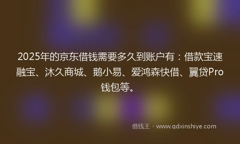 2025年的京东借钱需要多久到账户有：借款宝速融宝、沐久商城、鹅小易、爱鸿森快借、翼贷Pro钱包等。