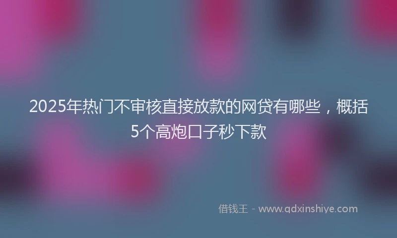 2025年热门不审核直接放款的网贷有哪些，概括5个高炮口子秒下款