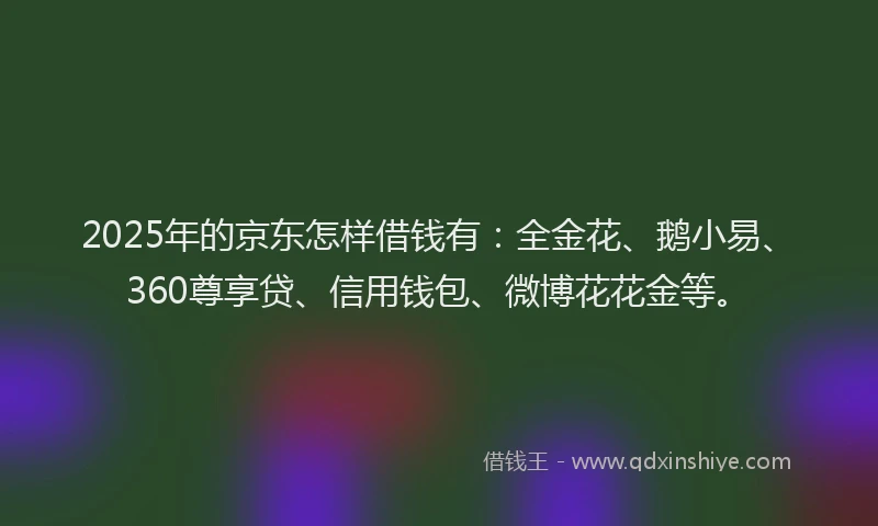2025年的京东怎样借钱有：全金花、鹅小易、360尊享贷、信用钱包、微博花花金等。
