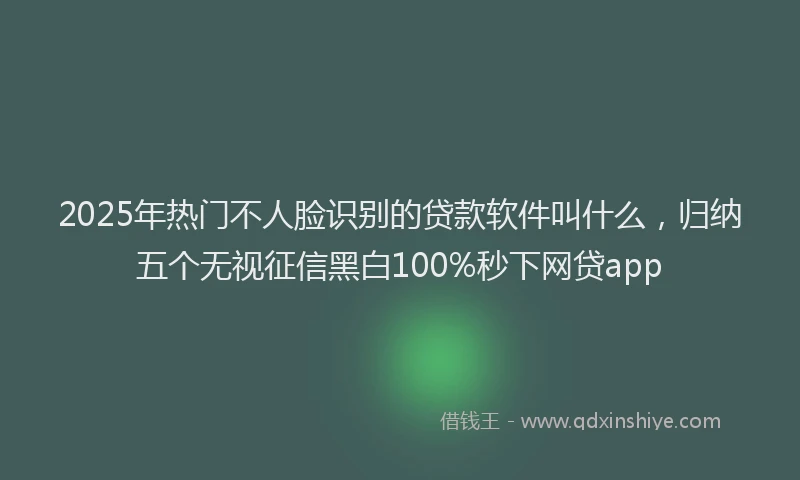 2025年热门不人脸识别的贷款软件叫什么，归纳五个无视征信黑白100%秒下网贷app