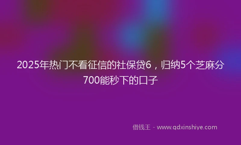 2025年热门不看征信的社保贷6，归纳5个芝麻分700能秒下的口子