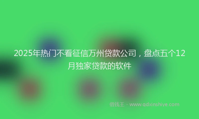 2025年热门不看征信万州贷款公司，盘点五个12月独家贷款的软件