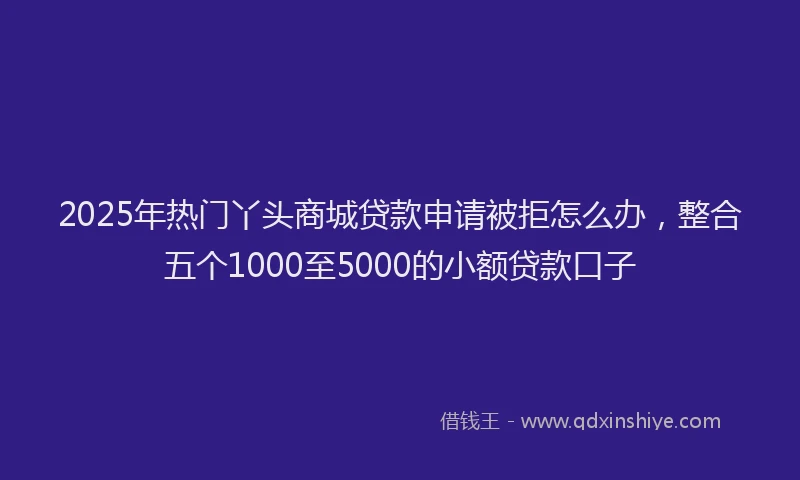 2025年热门丫头商城贷款申请被拒怎么办，整合五个1000至5000的小额贷款口子