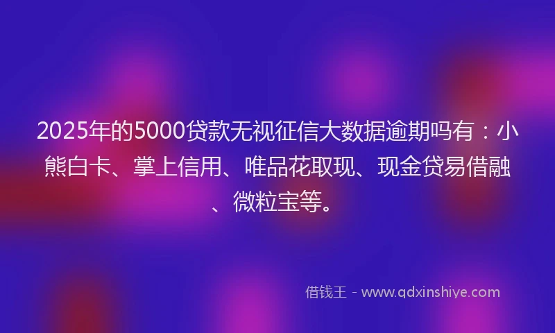 2025年的5000贷款无视征信大数据逾期吗有：小熊白卡、掌上信用、唯品花取现、现金贷易借融、微粒宝等。