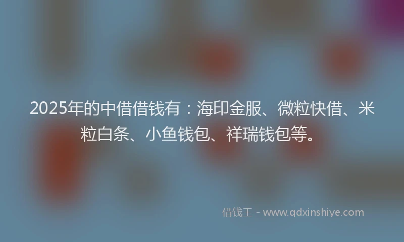 2025年的中借借钱有：海印金服、微粒快借、米粒白条、小鱼钱包、祥瑞钱包等。